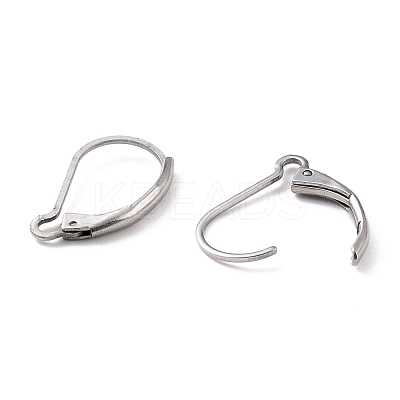 Non-Tarnish 304 Stainless Steel Leverback Earring Findings X-STAS-K233-04P-1