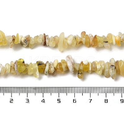 Natural Yellow Opal Chip Beads Strands G-G905-15-1
