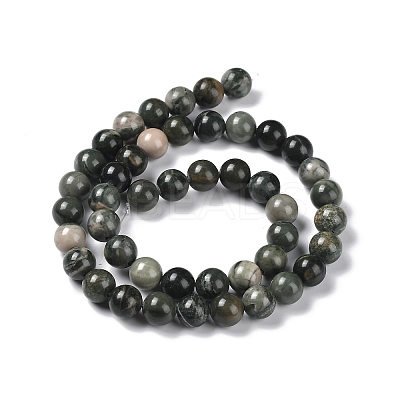Natural Wood Lace Stone Wooden Jasper Beads Strands G-P497-02B-01-1