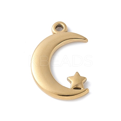 304 Stainless Steel Pendants STAS-E548-03G-1