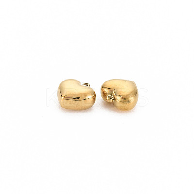 Ion Plating(IP) 304 Stainless Steel Charms LS-X-STAS-N097-148LG-1