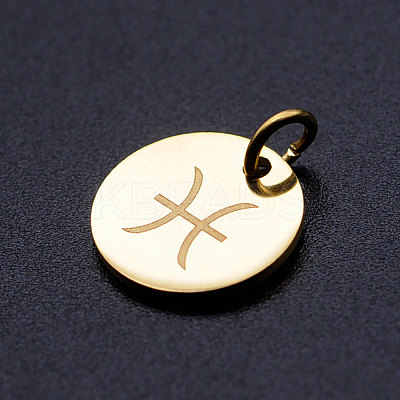 201 Stainless Steel Charms STAS-T049-T644-12G-1