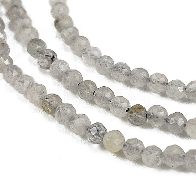 Natural Labradorite Beads Strands LS-G-I341-11A-1