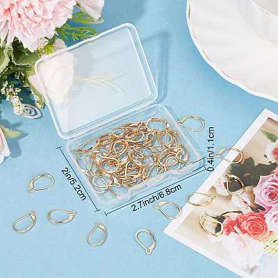 60Pcs 304 Stainless Steel Leverback Earring Findings STAS-SC0004-61-1