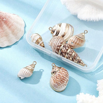 6Pcs 6 Styles Electroplated Natural Spiral Shell Pendants SSHEL-YW0001-06-1