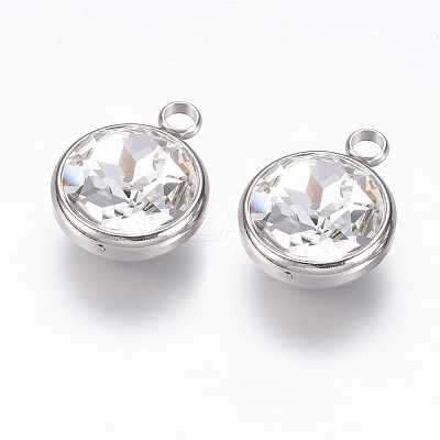 K9 Glass Rhinestone Pendants X-STAS-F123-26F-1