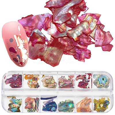 1 Set 12 Colors Shell Slices MRMJ-SP0001-05A-1