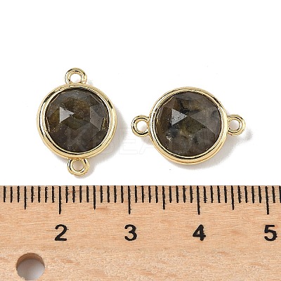 Brass Pave Natural Labradorite Faceted Flat Round Connector Charms G-U028-04G-16-1