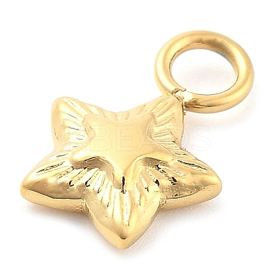 Ion Plating(IP) 304 Stainless Steel Charms STAS-P379-06C-G-1