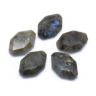 Natural Labradorite Cabochons G-L514-008-1
