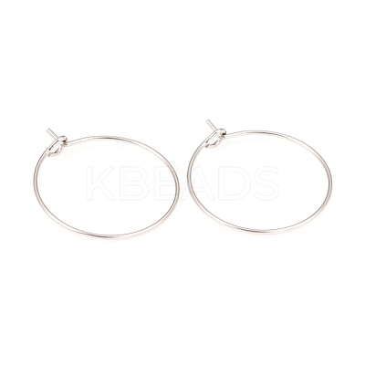 316L Surgical Stainless Steel Hoop Earring Findings STAS-G229-07P-02-1