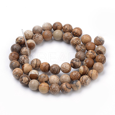 Natural Picture Jasper Beads Strands X-G-S259-27-6mm-1