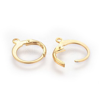304 Stainless Steel Leverback Earring Findings X-STAS-I100-19G-1