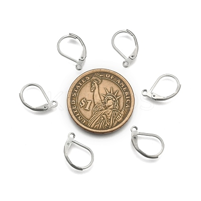 Tarnish Resistant Stainless Steel Color Tone 304 Stainless Steel Leverback Earring Findings X-STAS-E007-3-1