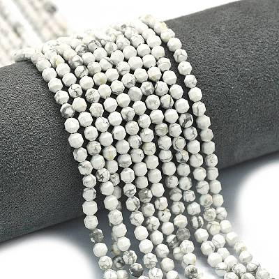 Natural Howlite Beads Strands G-A260-A25-01-1