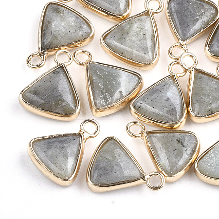 Natural Labradorite Pendants G-S344-10C-1