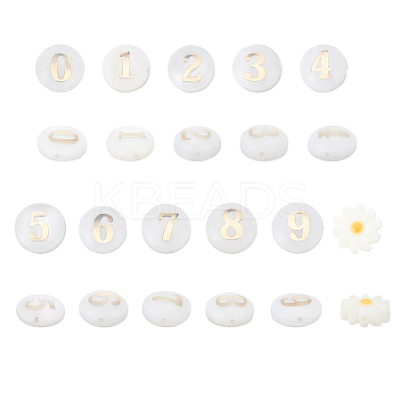 22Pcs 10 Style Natural Freshwater Shell Beads SHEL-AR0001-04-1