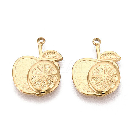 304 Stainless Steel Pendants STAS-T065-73G-1