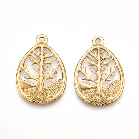 304 Stainless Steel Pendants STAS-N109-82G-1