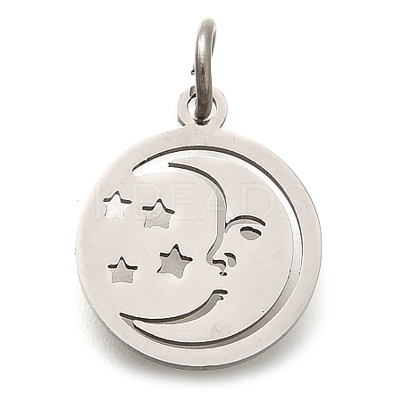 304 Stainless Steel Charms STAS-Z119-20P-1