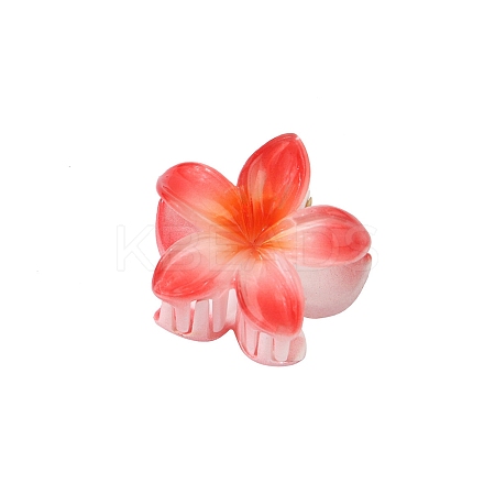 Plastic Claw Hair Clips PW-WG07B2B-07-1