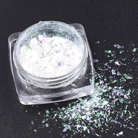 Holographic Chunky Glitter Nail Art Pigment Dust MRMJ-S015-009L-1