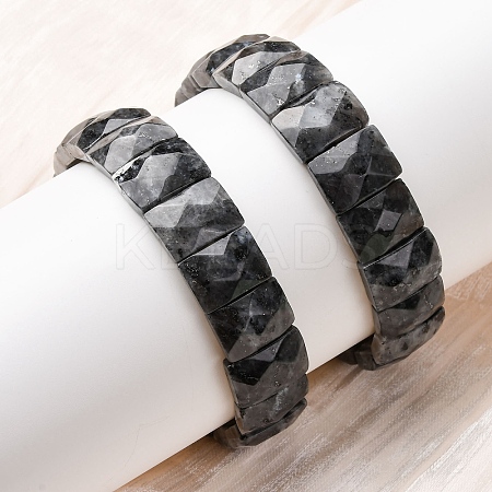 Rectangle Natural Labradorite Beads Stretch Bracelets for Women Men BJEW-Z149-01F-1