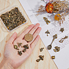 68Pcs 17 Styles Tibetan Style Alloy Charms FIND-HY0001-91-3