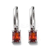 304 Stainless Steel Micro Pave Cubic Zirconia Hoop Earrings STAS-R004-06P-01-4