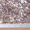 MIYUKI Round Rocailles Beads SEED-JP0008-RR0348-4