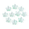 Baking Paint Transparent Glass Bead Caps DGLA-N014-06A-04-1