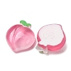 Fruit Theme Opaque Resin Imitation Food Cabochons RE-CBA49A8-03C-2