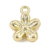 Alloy Charms AL-CBAFCDA-03G-1
