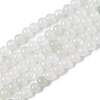 Natural Tianshan Cui Quartzite Beads Strands G-B046-01E-1