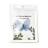 Transparent Epoxy Resin Cabochons RESI-A044-01B-2