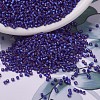 MIYUKI Delica Beads X-SEED-J020-DB0696-1