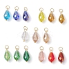 15Pcs Electroplate Glass Pendants PALLOY-JF03008-1