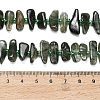 Natural Green Rutilated Quartz Beads Strands G-Z124-B02-01-5