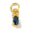 Rack Plating Brass Micro Pave Cubic Zirconia Charms KK-F881-03G-07-1