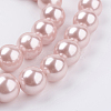 Shell Pearl Beads Strands X-BSHE-G013-12mm-02-3