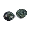 Natural Kambaba Jasper Cabochons G-T020-18mm-34-2