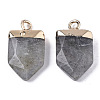 Natural Labradorite Pointed Pendants G-N326-34C-2