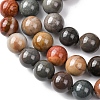 Natural Alashan Agate Beads Strands G-H343-D05-12mm-A-4