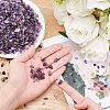 Natural Amethyst Chips Beads G-GA0001-19-3