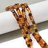 Natural Amber Beads Strands G-K387-E02-01-1