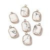Natural Howlite Faceted Pendants G-Q169-06G-01-1