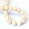 Frosted Natural Fossil Round Bead Strands G-E334-10mm-22-3