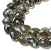 Natural Labradorite Beads Strands G-P544-E01-01-4