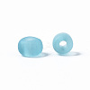 Glass Seed Beads E01MA044-5