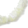 Natural Trochus Shell Chip Beaded Stretch Bracelets for Women Men BJEW-JB10549-4